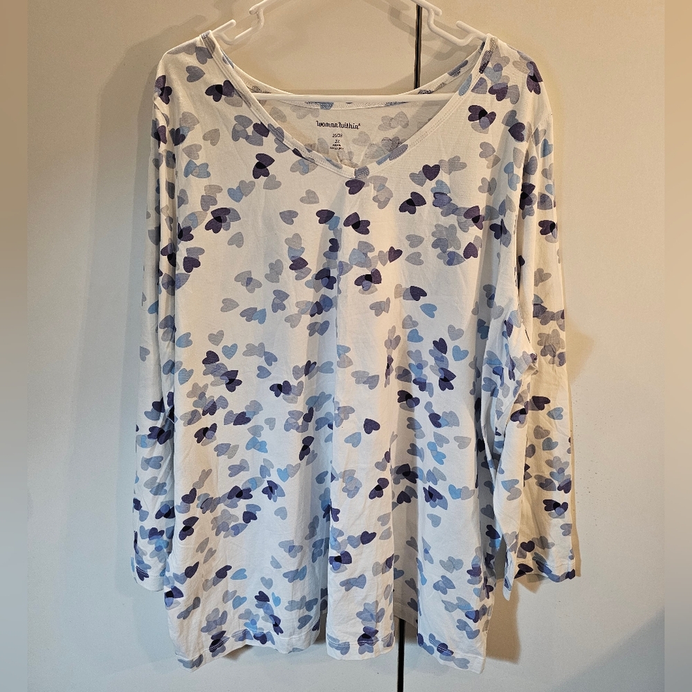 Woman Within Blue and White Patterned Blouse